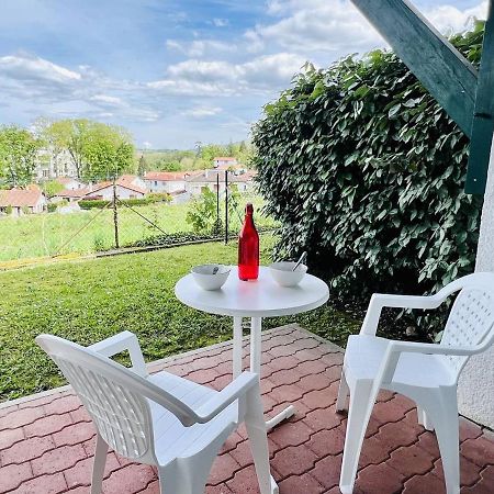 Studio Eglantine A Cambo-Les-Bains, Proche Thermes, Terrasse, Parking, Acces Internet, Animaux Ok - Fr-1-495-106 Zewnętrze zdjęcie